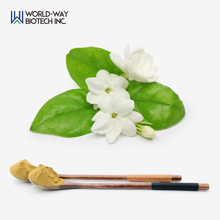 Jasmine Flower Extract Jasmine Flower Extract